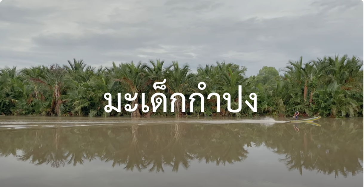 มะเด็กกัมปง I Madu manis